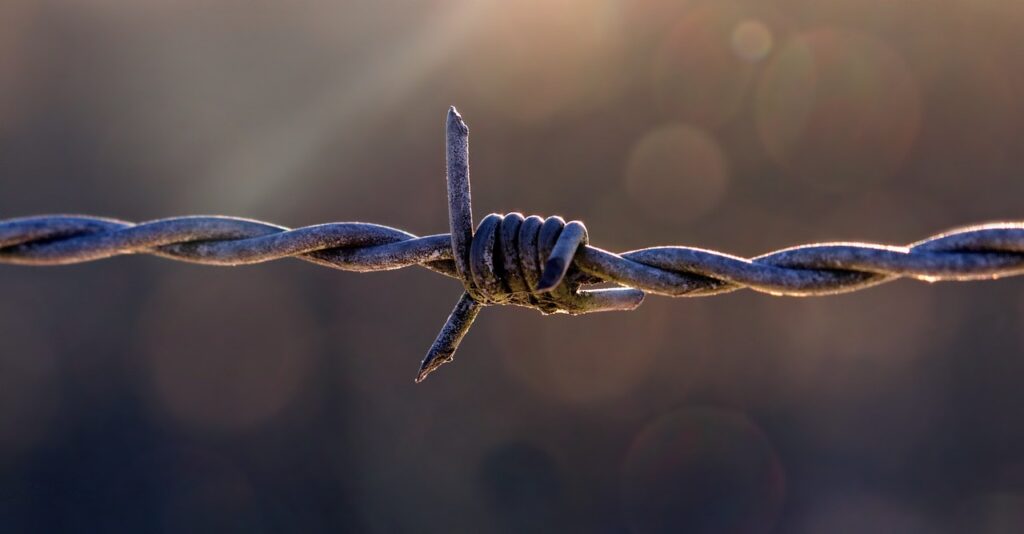 pasture fence, barbed wire, fencing-1995820.jpg